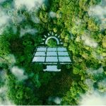 A solar panel surrounded by trees