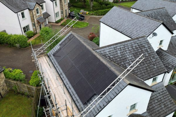 Helen-D-1-scaled Helen-D-1-scaled