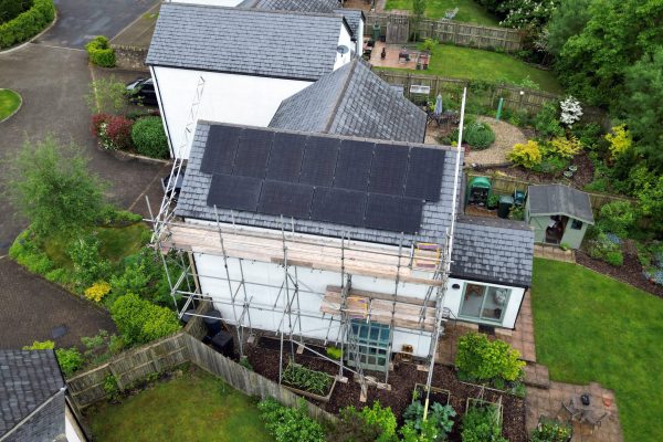 Helen-D-2-scaled Helen-D-2-scaled