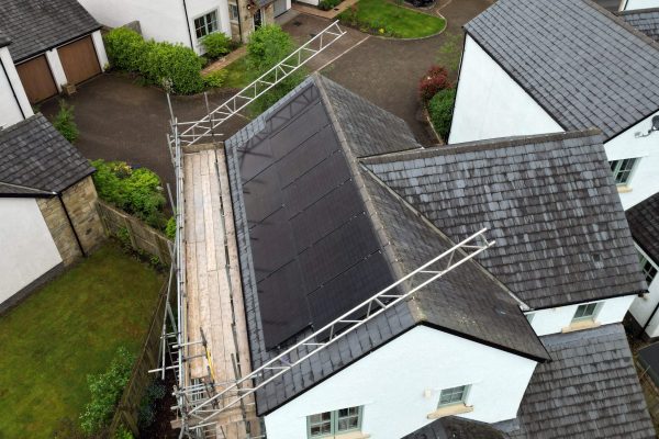 Helen-D-3-scaled Helen-D-3-scaled