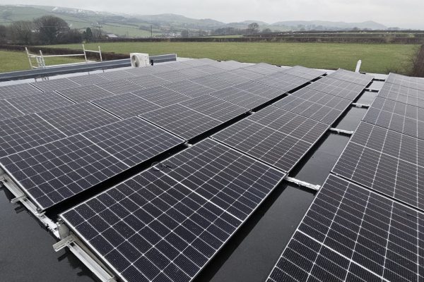 Pennington Nursery 04 Pennington Nursery 04