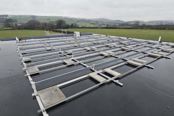 Pennington Nursery 05 Pennington Nursery 05