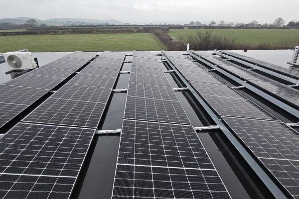 Pennington Nursery 06 Pennington Nursery 06